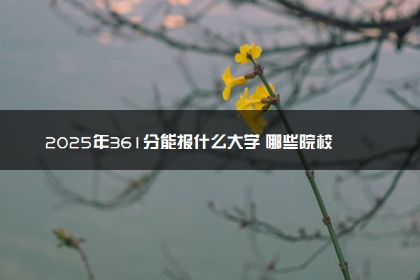 2025年361分能报什么大学 哪些院校值得报考
