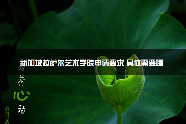 新加坡拉萨尔艺术学院申请要求 具体需要哪些作品