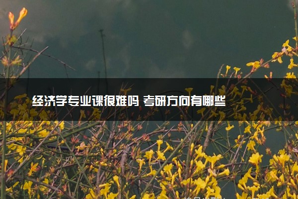 经济学专业课很难吗 考研方向有哪些
