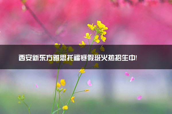 西安新东方雅思托福寒假班火热招生中！