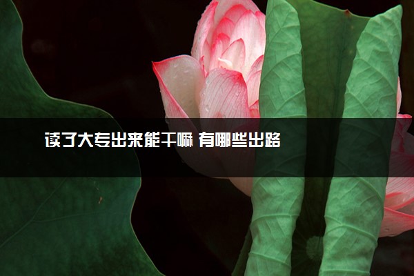 读了大专出来能干嘛 有哪些出路