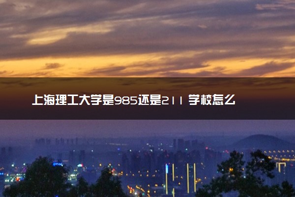 上海理工大学是985还是211 学校怎么样