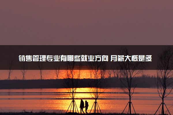 销售管理专业有哪些就业方向 月薪大概是多少