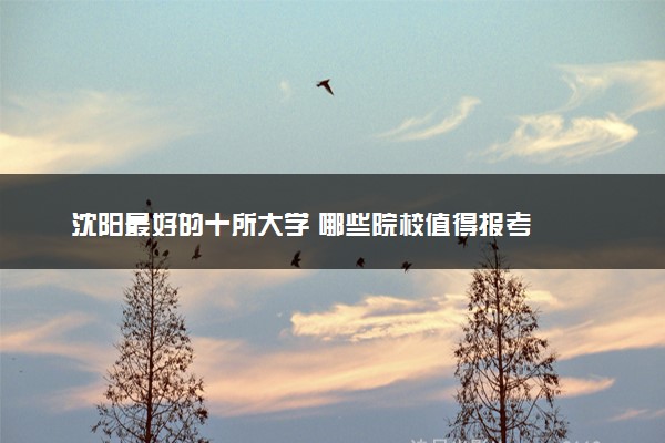 沈阳最好的十所大学 哪些院校值得报考