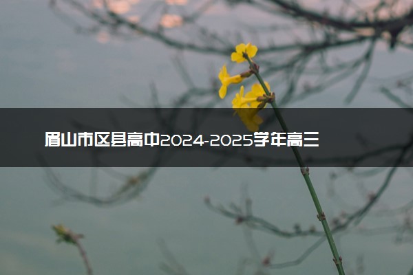 眉山市区县高中2024-2025学年高三上学期一诊模拟联考试题及答案汇总