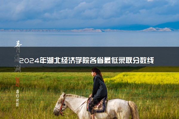 2024年湖北经济学院各省最低录取分数线