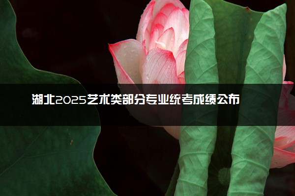 湖北2025艺术类部分专业统考成绩公布 如何查询分数
