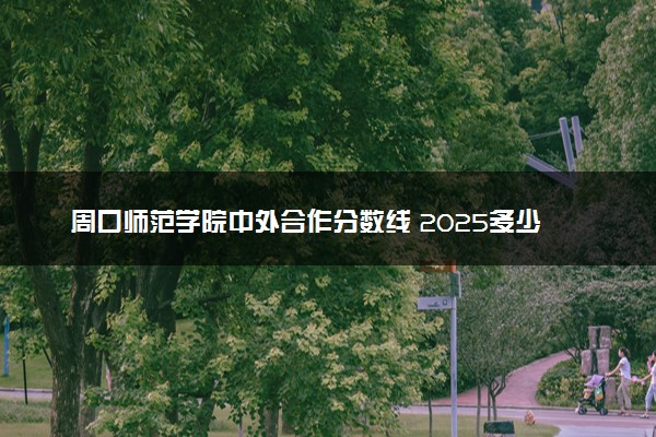 周口师范学院中外合作分数线 2025多少分能录取