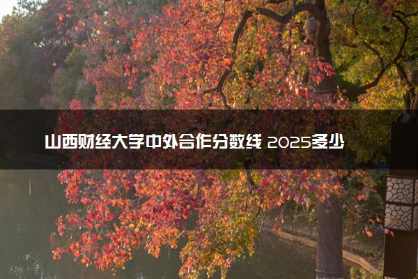山西财经大学中外合作分数线 2025多少分能录取