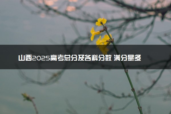 山西2025高考总分及各科分数 满分是多少