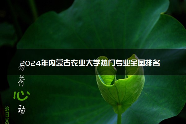 2024年内蒙古农业大学热门专业全国排名 有哪些专业比较好