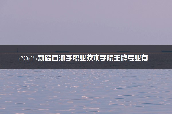 2025新疆石河子职业技术学院王牌专业有哪些 什么专业受欢迎