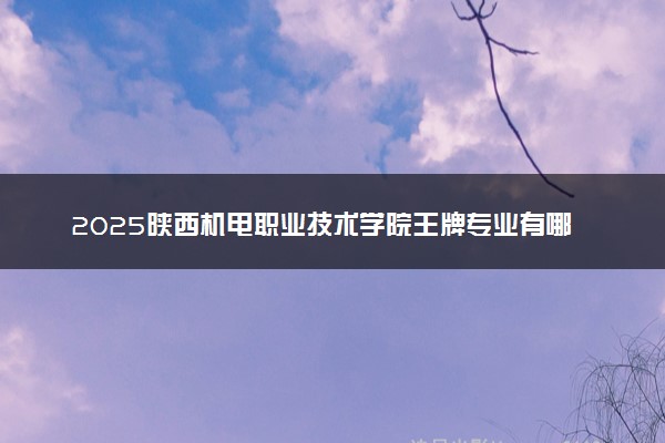 2025陕西机电职业技术学院王牌专业有哪些 什么专业好