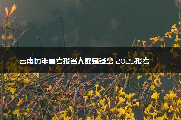 云南历年高考报名人数是多少 2025报考人数预计