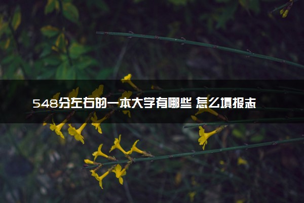 548分左右的一本大学有哪些 怎么填报志愿