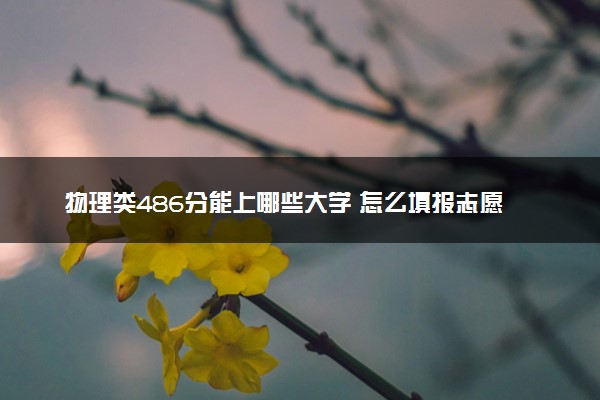 物理类486分能上哪些大学 怎么填报志愿