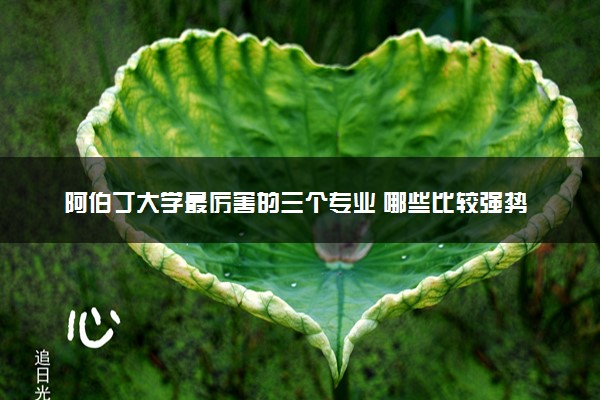 阿伯丁大学最厉害的三个专业 哪些比较强势