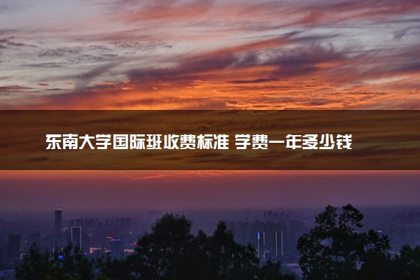 东南大学国际班收费标准 学费一年多少钱