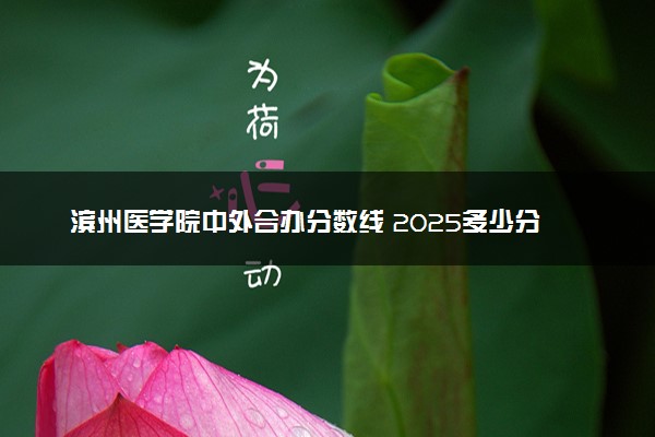 滨州医学院中外合办分数线 2025多少分能录取