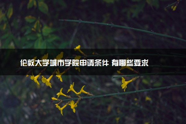 伦敦大学城市学院申请条件 有哪些要求