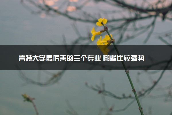 肯特大学最厉害的三个专业 哪些比较强势