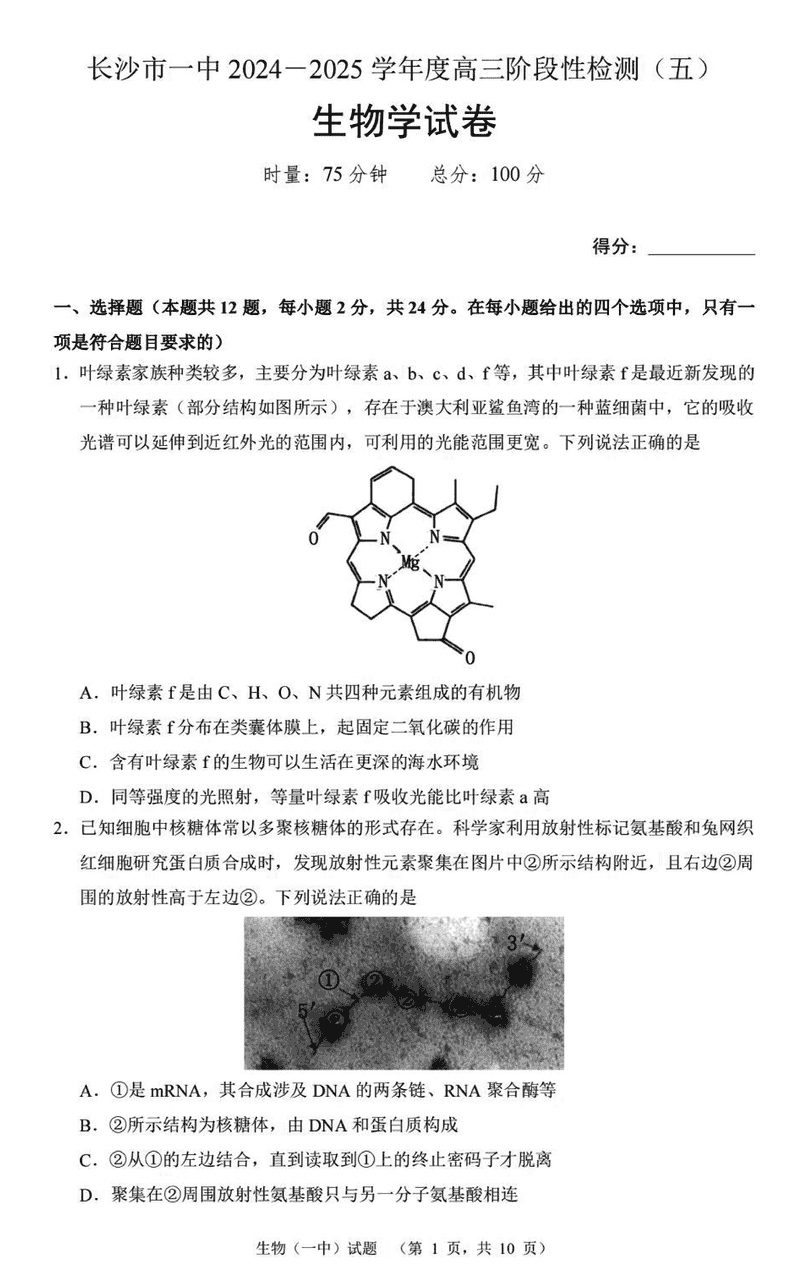 湖南长沙一中2025届高三上学期阶段性检测（五）生物试题及答案