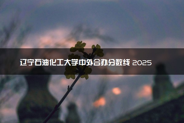 辽宁石油化工大学中外合办分数线 2025多少分能录取