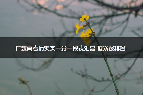 广东高考历史类一分一段表汇总 位次及排名查询（2025年参考）