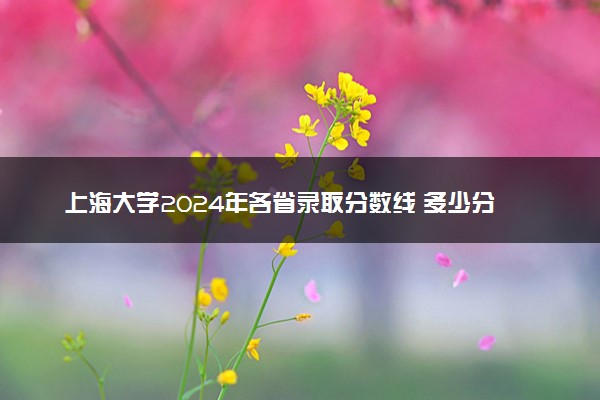 上海大学2024年各省录取分数线 多少分能考上