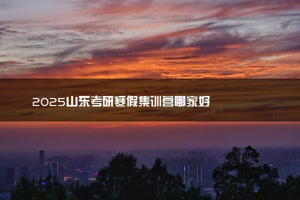 2025山东考研寒假集训营哪家好