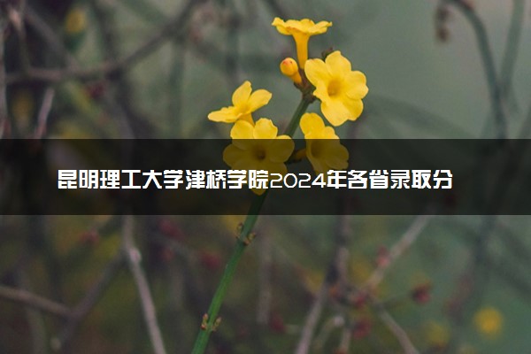 昆明理工大学津桥学院2024年各省录取分数线 多少分能考上