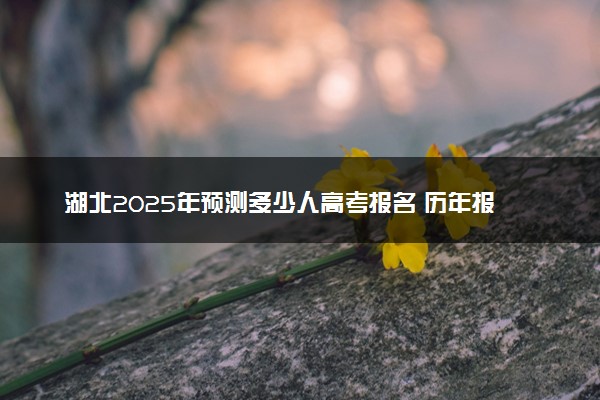 湖北2025年预测多少人高考报名 历年报考人数统计