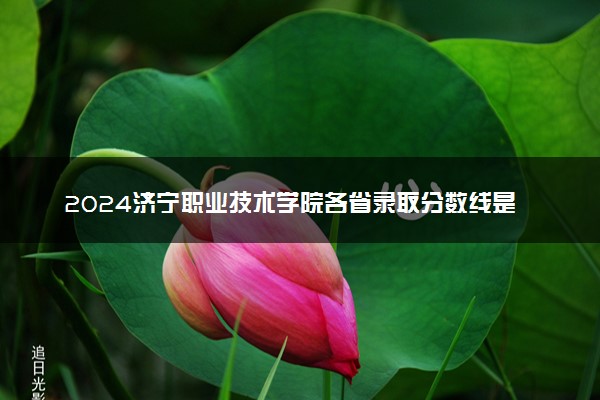 2024济宁职业技术学院各省录取分数线是多少 最低分及位次