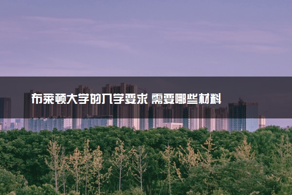 布莱顿大学的入学要求 需要哪些材料