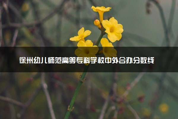 徐州幼儿师范高等专科学校中外合办分数线 2025多少分能录取