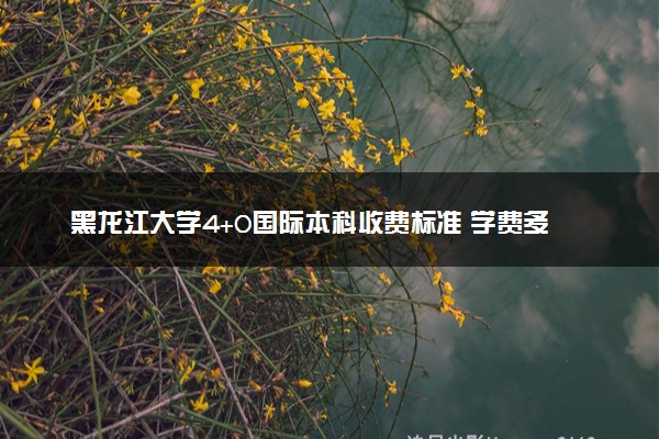 黑龙江大学4+0国际本科收费标准 学费多少钱