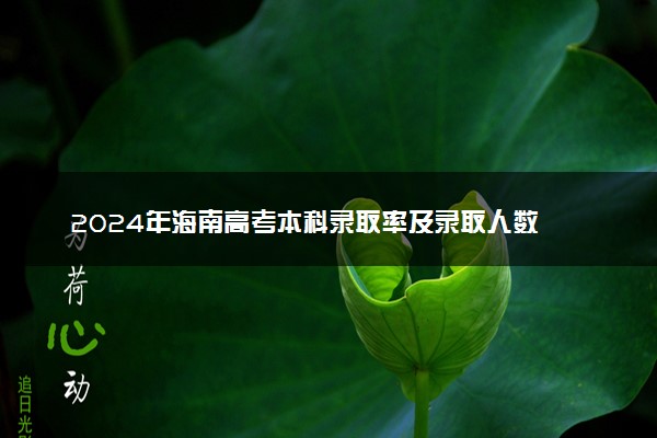 2024年海南高考本科录取率及录取人数 上线率高吗
