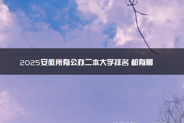 2025安徽所有公办二本大学排名 都有哪些二本院校