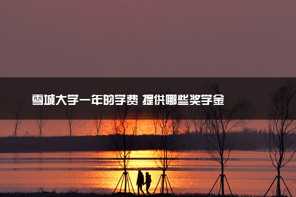 雪城大学一年的学费 提供哪些奖学金