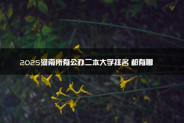 2025河南所有公办二本大学排名 都有哪些二本院校