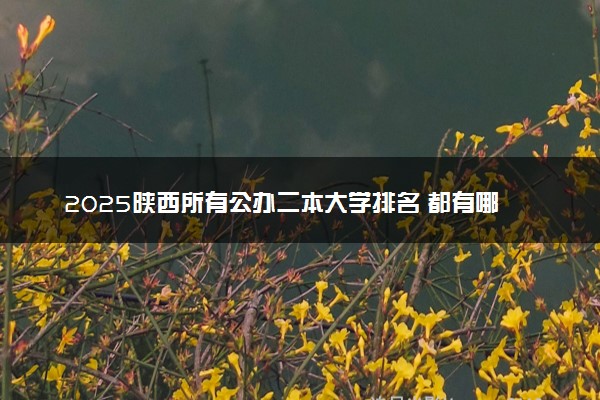 2025陕西所有公办二本大学排名 都有哪些二本院校