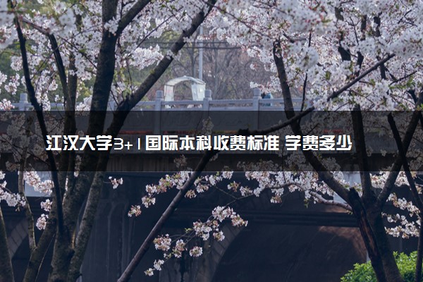 江汉大学3+1国际本科收费标准 学费多少钱