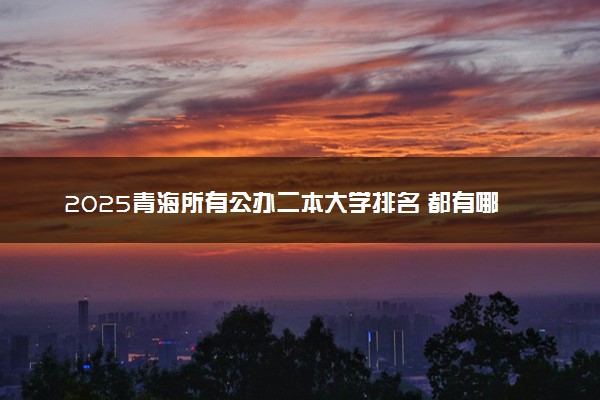 2025青海所有公办二本大学排名 都有哪些二本院校