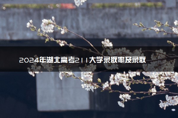 2024年湖北高考211大学录取率及录取人数是多少