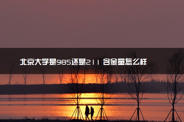 北京大学是985还是211 含金量怎么样