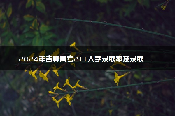 2024年吉林高考211大学录取率及录取人数是多少