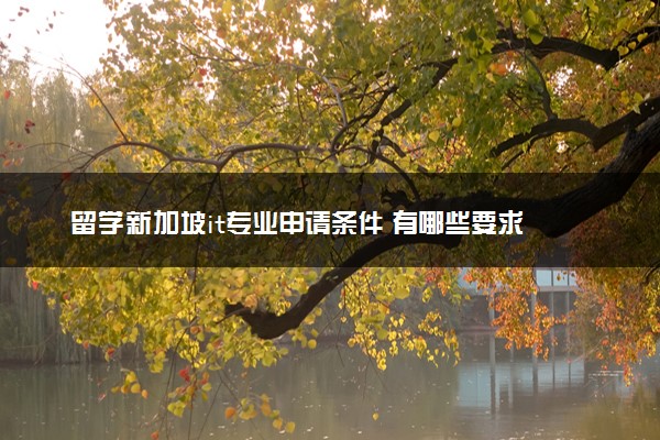 留学新加坡it专业申请条件 有哪些要求
