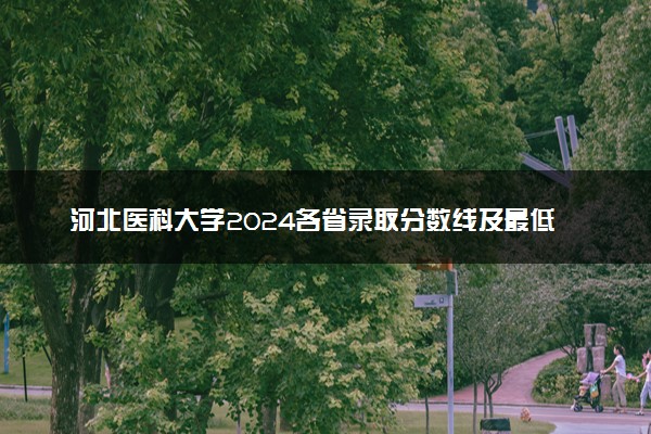 河北医科大学2024各省录取分数线及最低位次是多少