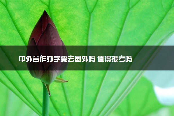中外合作办学要去国外吗 值得报考吗