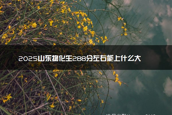2025山东物化生288分左右能上什么大学 可以报考的院校名单
